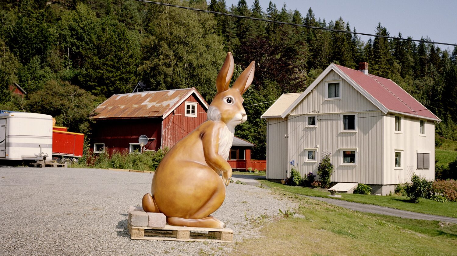 Foto: Helge Skodvin - stor hare i plast på en pall på et tn